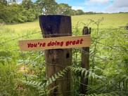 Træskilt med teksten 'You're doing great' fastgjort til en hegnspæl langs West Highland Way, med grønne bakker og træer i baggrunden.