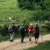 Walking the Camino from Sarria to Santiago