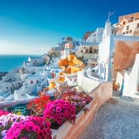 Malerisk udsigt over Santorinis hvidkalkede bygninger, der strækker sig ned mod det blå Ægæiske hav, med farverige bougainvillea.