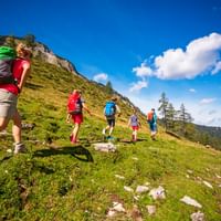 Gruppe vandrere på grøn bjergskråning i Salzkammergut. Voksne og børn med rygsække krydser græsklædt bakke under blå himmel.