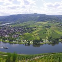 Luftfoto af Mosel-floden der danner et dramatisk hestesko-sving omkring en by med vingårde på skråningerne og en passagerbåd på vandet.