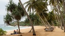 Gylden sandstrand i Sri Lanka kantet af høje kokospalmer. To personer sidder under palmerne mens strandstole er placeret i nærheden.