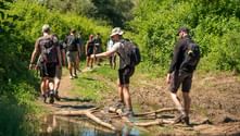 Group of hikers with backpacks crossing a makeshift wooden bridge over a small stream on the Via Francigena trail, surrounded by lush greenery.