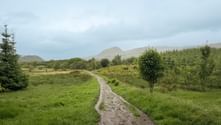 Stisti på West Highland Way, der slynger sig gennem grønne enge med spredte træer og bjerge i baggrunden under overskyet himmel i Skotland.