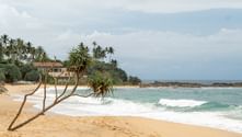 Sandstrand i Sri Lanka med turkosa vågor och lutande palm. Byggnader och palmer på kulle, klippig kustlinje i fjärran.