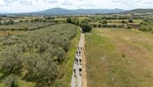 Aerial view of hikers walking on Via Francigena path through Italian countryside with olive groves, fields, and mountains in the distance.