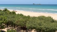 Tropisk strand i Sri Lanka med gyllene sand, turkost hav och grön kustvegetation. En liten ö syns vid horisonten.
