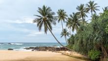 Sandstrand på Sri Lanka med lutande palmer, klippig kustlinje och turkos ocean. En liten bäck rinner över den gyllene sanden.