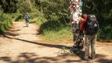 Hiker with backpack viewing a wooden post covered with pilgrim mementos on the Portuguese Camino. Another pilgrim walks ahead on a dirt path through green vegetation.