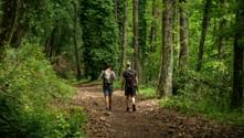 Two hikers with backpacks walking on a forest trail surrounded by lush green trees on the Via Francigena route between Orvieto and Rome.