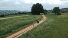 Gruppe pilgrimme med rygsække går på en jordvej gennem grønne landbrugsmarker på Caminoen fra Sarria til Santiago.