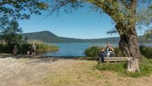 Hikers resting by Lake Vico under a large tree. Blue lake with reeds, mountain backdrop, and clear sky visible on the Via Francigena trail.