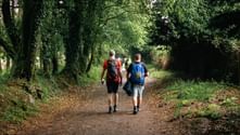 To vandrere med rygsække går på en trækantet jordsti på Caminoen fra Sarria til Santiago, omgivet af frodig grøn skov.