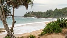 Sandstrand i Sri Lanka med turkosa vågor, palmer i förgrunden och frodig grön vegetation längs den böjda kustlinjen under molnig himmel.
