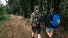 To vandrere med rygsække går på en skovsti på Caminoen fra Sarria til Santiago.