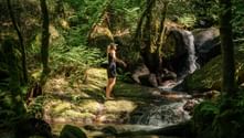 Woman in black shorts standing on moss-covered rocks beside a small waterfall in a lush green forest on the Portuguese Camino.