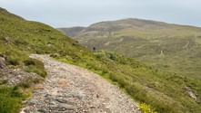 Stenet vandrerute gennem grønne skotske højlande med bølgende bakker i baggrunden under overskyet himmel på West Highland Way.