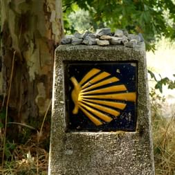Walking the Camino from Sarria to Santiago