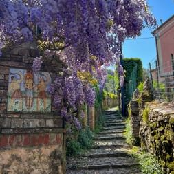 Stone stairway in Cinque Terre lined with purple wisteria flowers. A decorative tile plaque and pink building are visible along the path.