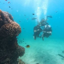 Dykker svømmer nær en stor korallformasjon i klart turkist vann på Bali, med små tropiske fisker og luftbobler synlige.