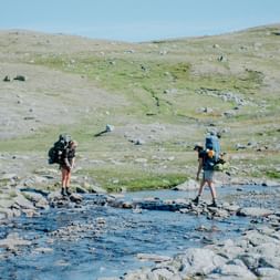 To vandrere med rygsække krydser en stenet bæk på Hardangervidda. Grønne bakker med spredte sten under blå himmel i baggrunden.