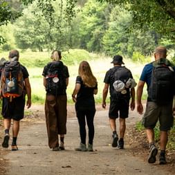 Five hikers with backpacks walking away on a tree-lined dirt path on the Portuguese Camino, surrounded by lush green vegetation.