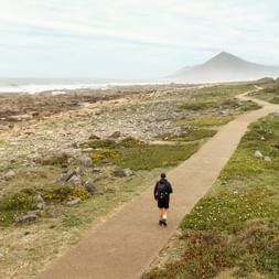 Lone pilgrim walking on paved coastal path along Portuguese Camino. Rocky shoreline on left, green meadows on right, mountain visible in distance.