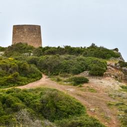 Stenvagttårn på grøn kystbakke i Algarve, Portugal. En grusvej fører op til tårnet med havet synligt i baggrunden.