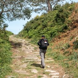 Hiker with backpack walking on ancient stone path on Portuguese Camino. Path ascends between green vegetation and brown hillside under clear sky.