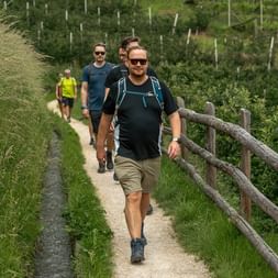 Gruppe vandrere går på smal sti med trægelænder gennem grønt landskab. Forreste vandrer bærer mørk trøje og shorts med rygsæk.