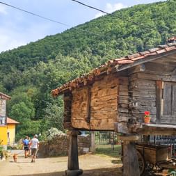 Træ-hórreo kornlager på stensøjler i bjerglandsby i Picos de Europa, med stenhuse og skovklædte bjerge i baggrunden.