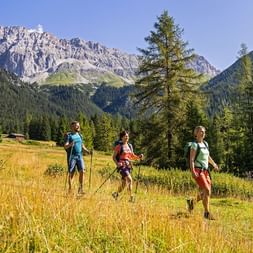 Tre vandrere med rygsække går gennem gylden eng med alpehytter, nåleskov og dramatiske bjergtinder under blå himmel.