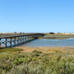 Lang træbro over en kystlagune nær Faro i Algarve. Grøn vegetation i forgrunden, blåt vand og sandede kyster under klar himmel.