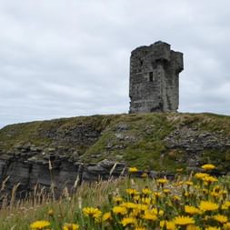 Middelalderlige stenruiner på græsklædt klippe med havudsigt, gule vilde blomster i forgrunden og skyet himmel.