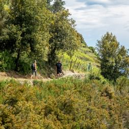 Two hikers walking on a terraced hillside path in Cinque Terre with Mediterranean Sea visible in background and lush vegetation.