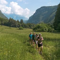 Gruppe vandrere går gennem grøn eng i Dolomitternes dal omgivet af stejle kalkstensklipper og tæt skov under skyet himmel.