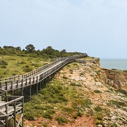 Træbro langs klippetop med grøn vegetation og havudsigt nær Ferragudo, Algarve-kysten, Portugal.
