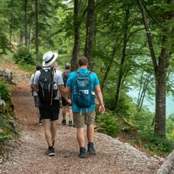 To vandrere med rygsække går på en skovsti omgivet af grønne træer. En bærer en hvid hat og mørk rygsæk.