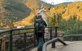 Camino de Santiago