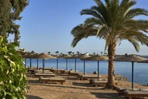 Sandstrand med træ solsenge og stråtag langs vandet ved Sultan Bey Hotel i El Gouna, Egypten. Palmer indramme scenen.
