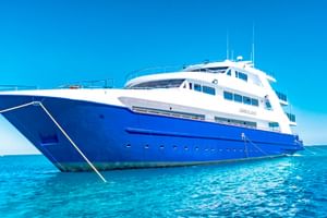 Vit och blå Long Island liveaboard-yacht ankrad i kristallklart turkost vatten under en klarblå himmel.