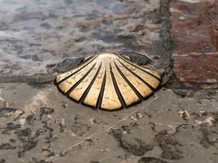 Camino de Santiago