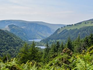 Panoramaudsigt over Wicklow Mountains dal med en sø mellem skovklædte bakker. Grønne bregner i forgrunden, bølgende bakker i baggrunden.