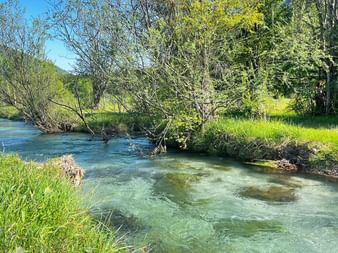 Clear mountain stream flowing through green meadows with trees and shrubs along the banks. Mountains visible in the background under blue sky.