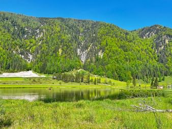 Calm alpine lake reflecting forested mountains in Austria. Green meadows in foreground, snow patches visible on slopes, clear blue sky above.
