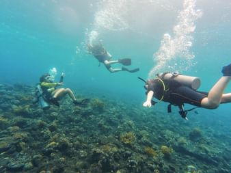 Tre dykkere svømmer over et koralrev i klart turkisfarvet vand på Bali, med luftbobler der stiger op til overfladen.