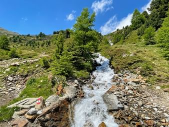Snabbt flödande bergsbäck som rinner över stenar genom grön alpin dal med spridda träd och blå himmel.
