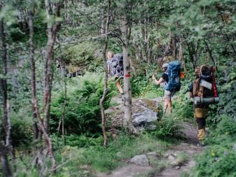 Tre fotturister med sekker går på en skogsti i Aurlandsdalen, Norge. Tette bjørketrær og grønne bregner omgir den steinete stien.