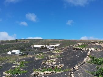 Volcanic landscape of La Geria on Lanzarote with traditional stone-walled vineyard plots and white buildings scattered across dark volcanic soil.