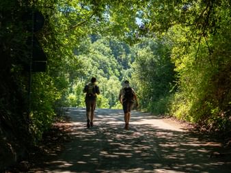 Two hikers with backpacks walking on a tree-lined path on the Via Francigena pilgrimage route between Orvieto and Rome.